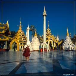 Myanmar (67) Shwedagon