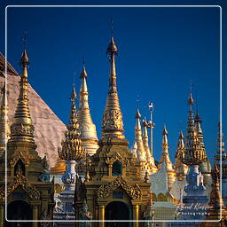 Myanmar (73) Shwedagon