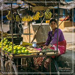 Annapurna circuit (2)