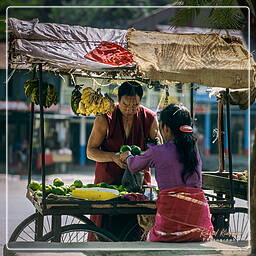 Annapurna circuit (4)