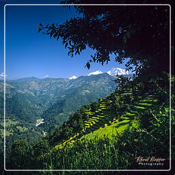 Nalma, Annapurna circuit (23)