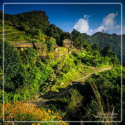 Baglunpani, Annapurna circuit (30)