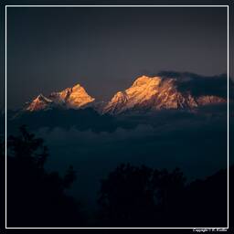 Annapurna Fernwanderweg (36) Manaslu (8.163 m)