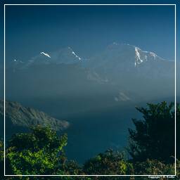 Annapurna Fernwanderweg (39) Baglunpani
