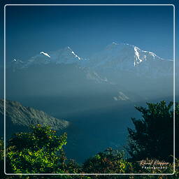 Tour des Annapurnas (39) Baglunpani