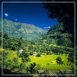 Tour des Annapurnas (45)