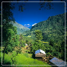 Khudi, Annapurna circuit (46)