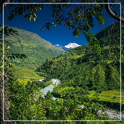 Annapurna Fernwanderweg (47) Khudi