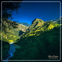 Annapurna circuit (57)