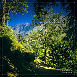 Tour des Annapurnas (60) Bahundanda (1 310 m)