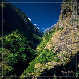 Annapurna circuit (74)