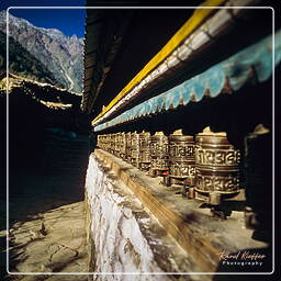 Bagarchhap, Annapurna circuit (77)