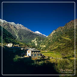 Tour des Annapurnas (78) Bagarchhap