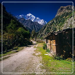 Annapurna Fernwanderweg (83) Annapurna II (7.937 m)