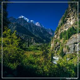 Annapurna Fernwanderweg (86) Chame (2.630 m)