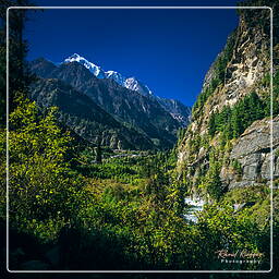 Tour des Annapurnas (86) Chame (2 630 m)