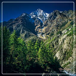 Annapurna circuit (95)