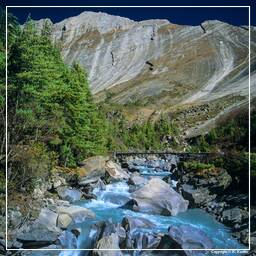 Annapurna Fernwanderweg (96)