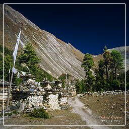 Tour des Annapurnas (100)