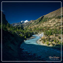 Tour des Annapurnas (101) Pisang (3 190 m)