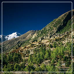 Annapurna circuit (102) Pisang (3,190 m)