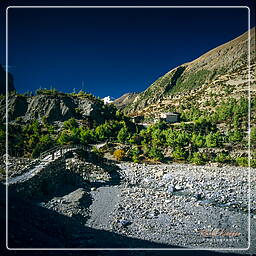 Tour des Annapurnas (103) Pisang (3 190 m)