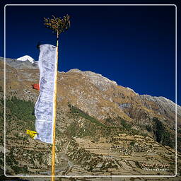 Tour des Annapurnas (106) Pisang (3 190 m)