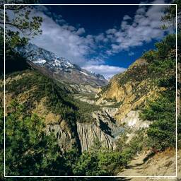 Annapurna Fernwanderweg (119)