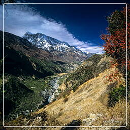 Annapurna circuit (120) Annapurna II (7 937 m)I