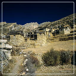 Gyaru, Annapurna circuit (121)