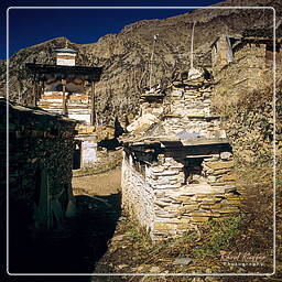 Gyaru, Annapurna circuit (131)