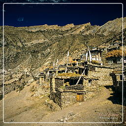 Gyaru, Annapurna circuit (132)