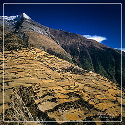 Nawal, Annapurna circuit (133)