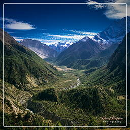 Nawal, Annapurna circuit (134)