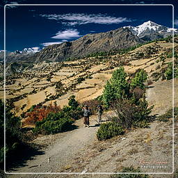 Nawal, Annapurna circuit (137)
