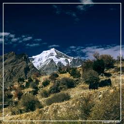 Annapurna Fernwanderweg (139) Chulu