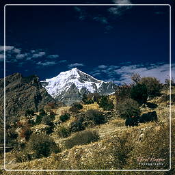 Annapurna Fernwanderweg (139) Chulu