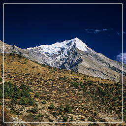 Tour des Annapurnas (140) Pisang (3 190 m) Peak