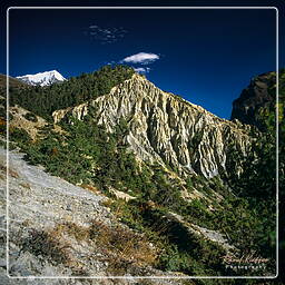 Annapurna circuit (143)