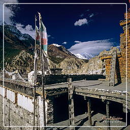 Braga, Annapurna circuit (157)