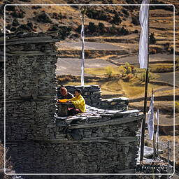Braga, Annapurna circuit (159)