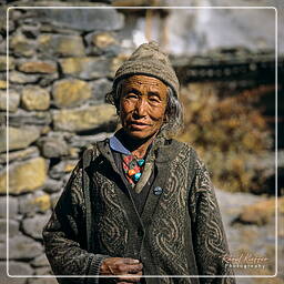 Braga, Annapurna circuit (161)