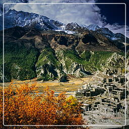 Braga, Annapurna circuit (163)