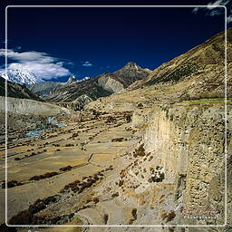 Annapurna circuit (166)