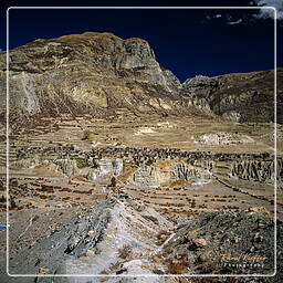 Tour des Annapurnas (168) Manang (3 520 m)