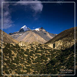 Annapurna circuit (175)