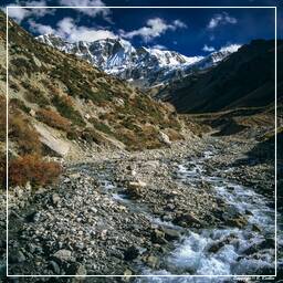 Annapurna Fernwanderweg (180)