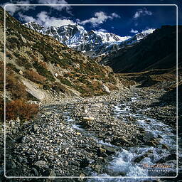 Annapurna circuit (180)