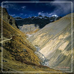 Annapurna circuit (186)