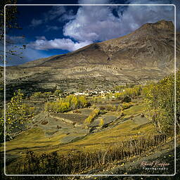 Tour des Annapurnas (195) Muktinath (3 800 m)